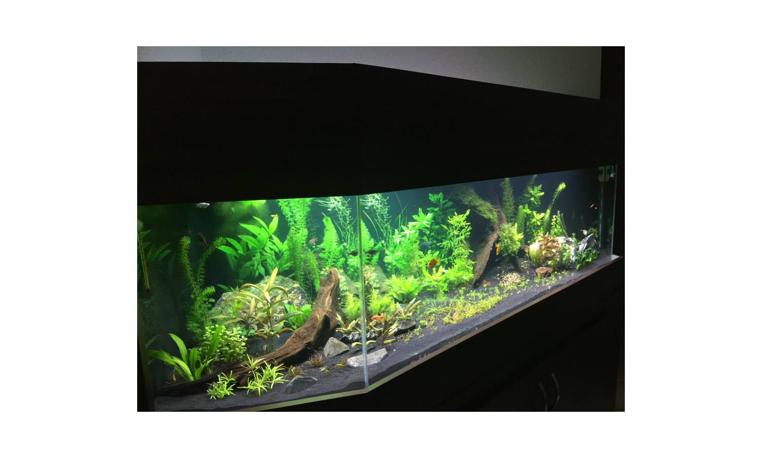 Projeto Plantado 800 Litros