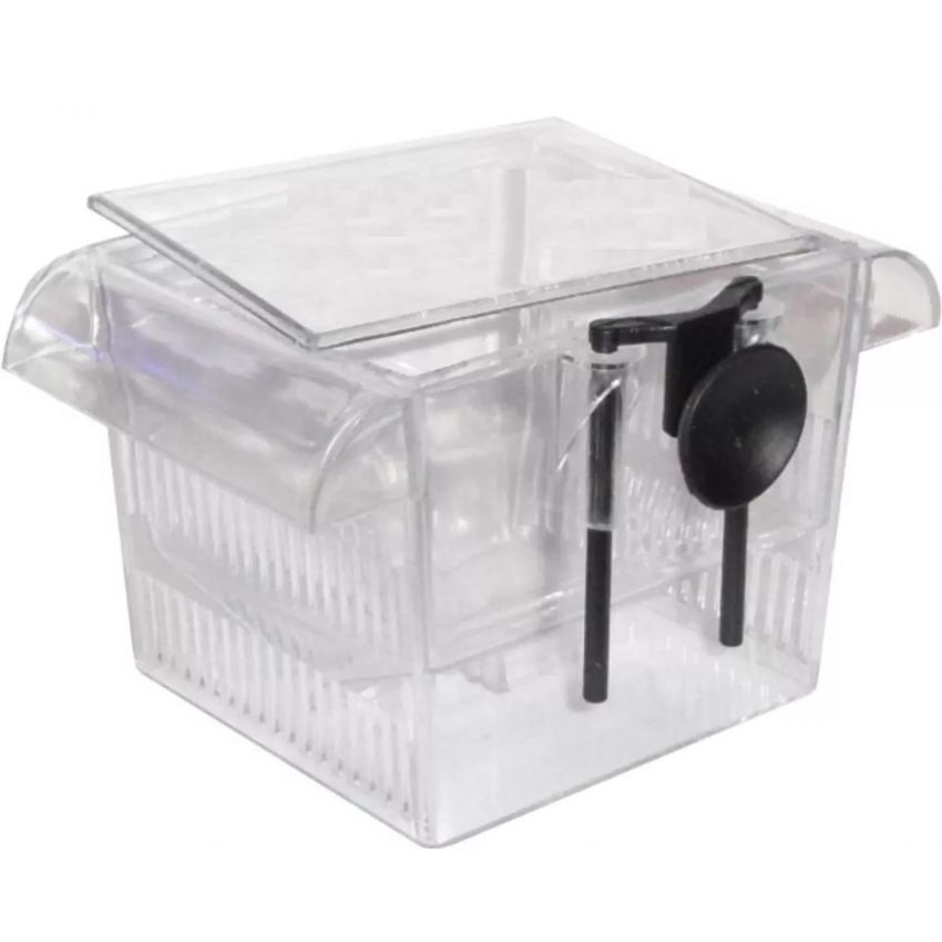 Hopar Criadeira Simples In-002
