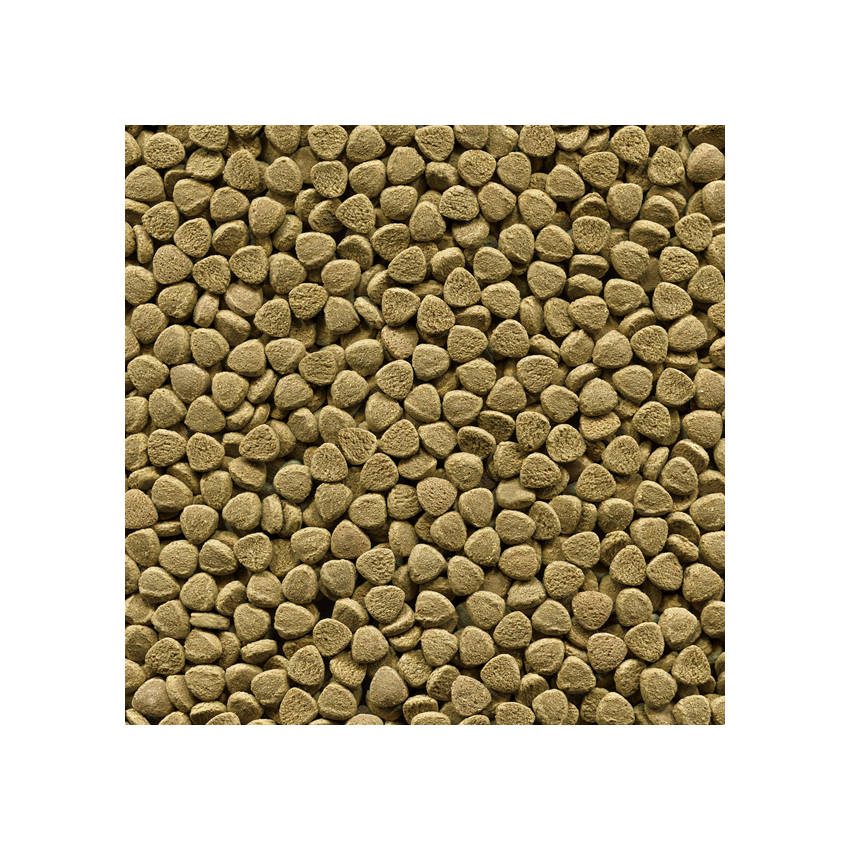 Alcon Bottom Fish 50G