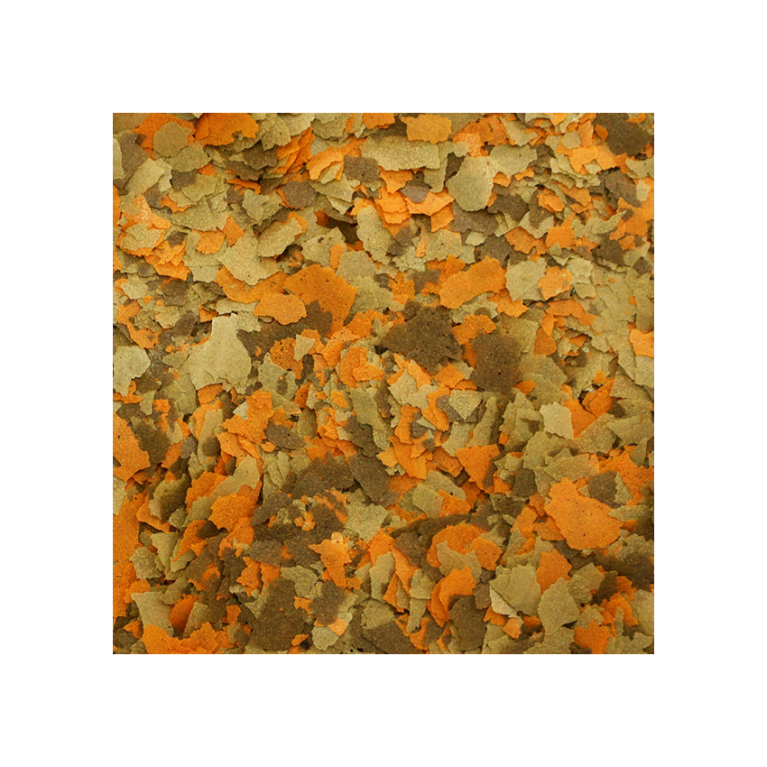 Alcon Colours 20G
