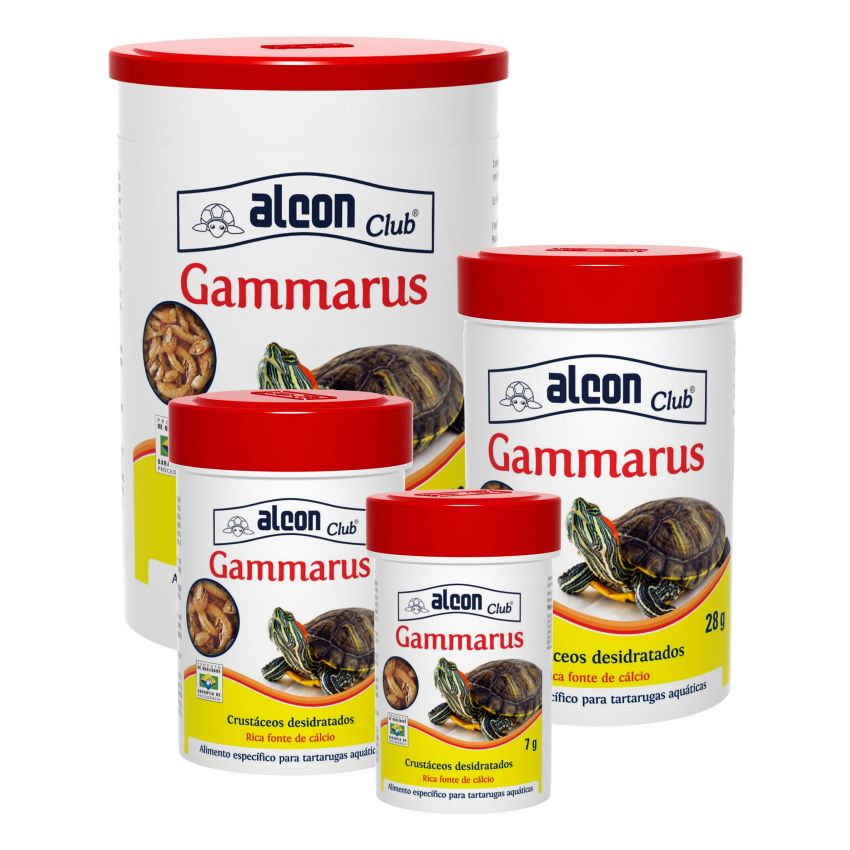 Alcon Gammarus 11G