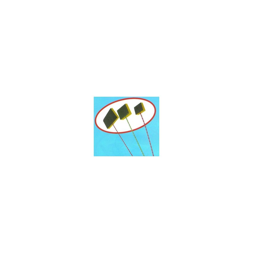 Limpaquario Esponja N°1 – Delfin