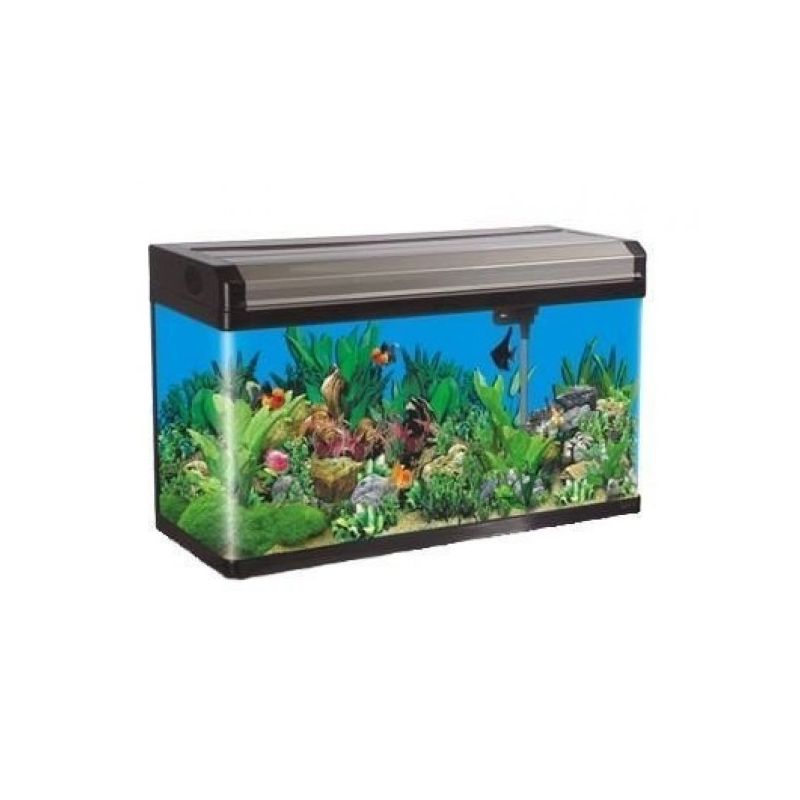 Boyu Aquário Curvo EA-80 LED 148 litros - Preto/Champagne (Frete sob consulta)