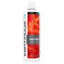 Continuum Zoo Blast 500 ML (Aquatics Zooplankton)